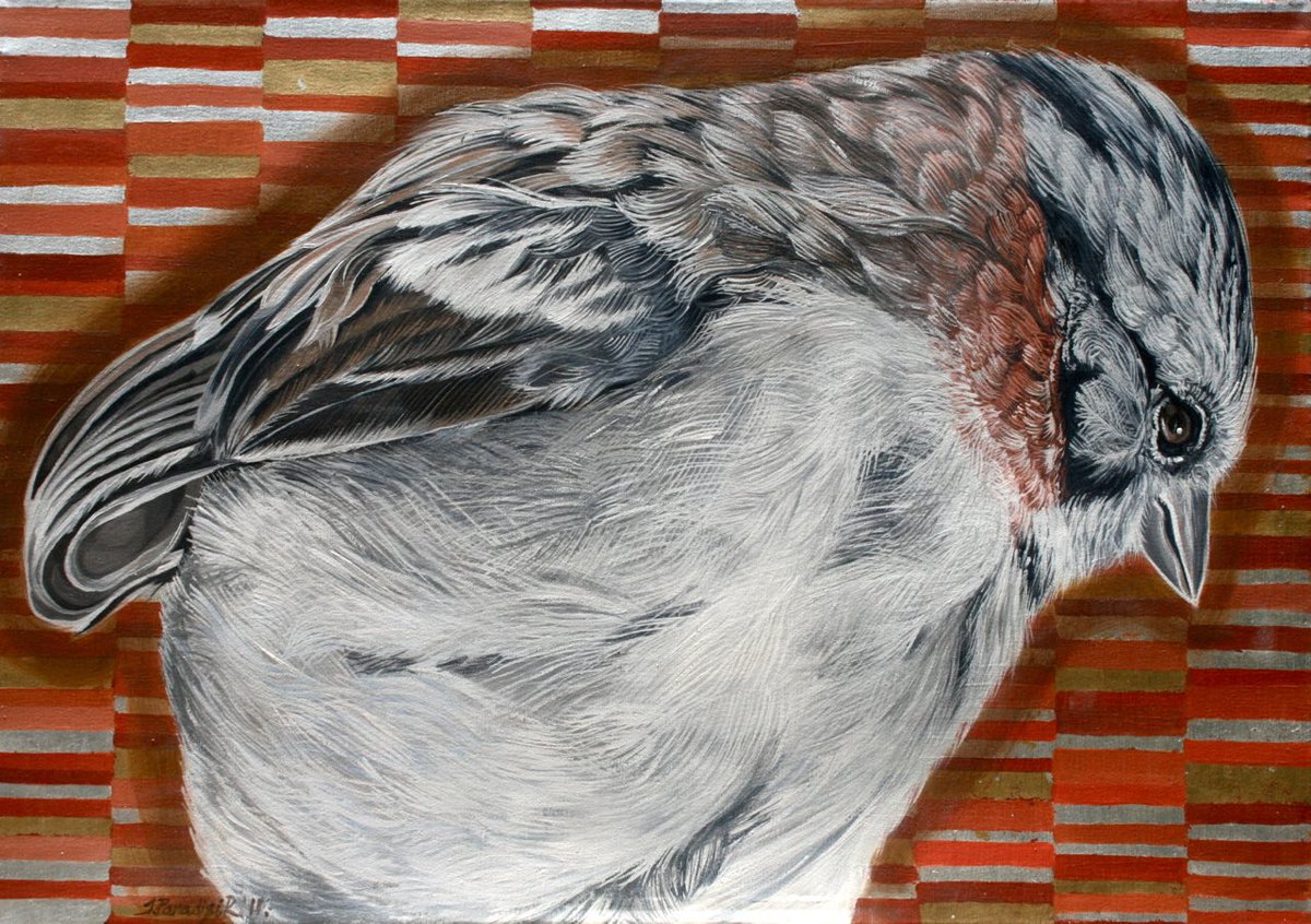 CORREPORSUELO ( Zonotrichia capensis)
Oil and silver and golden leaves on canvas. 70x100 cms. 2011.
JOSE AUGUSTO PARADISI RANGEL painted.

Presented at my solo exhibit: EL ZAGUÁN DE GRINGO ENAMORADO, Galeria Pedro Sánchez, Caracas, 2012

FOR SALE 
WORLWIDE SHIPPING