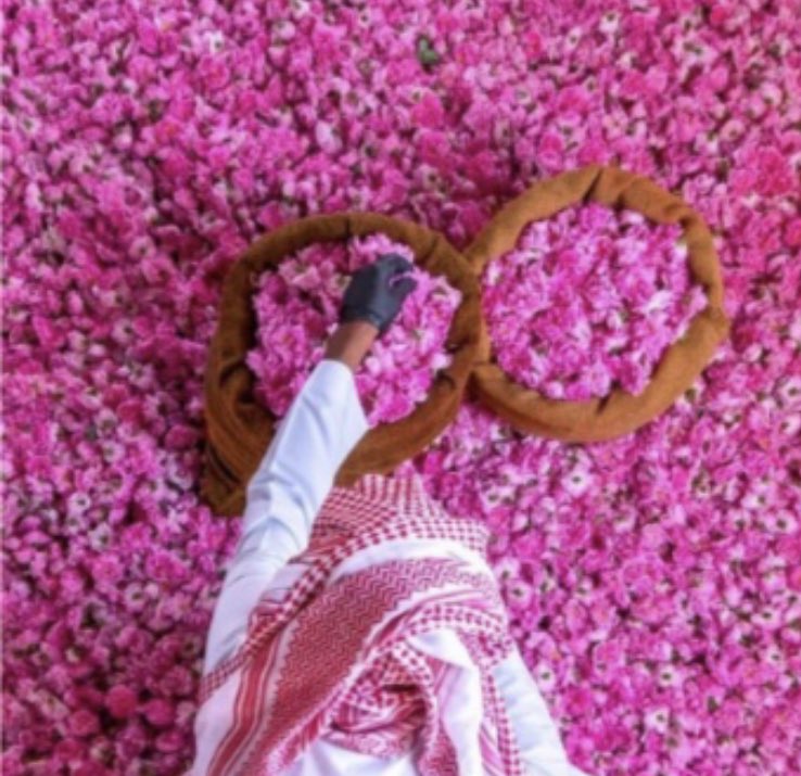 #موسم_الورد_الطائفي
#وزارة_الثقافة 
#روزيار