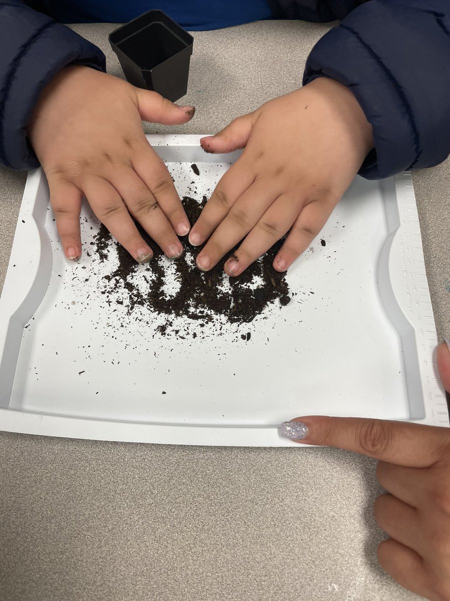 MsSuzet's tweet photo. In honor of Earth Day we have been learning about planet Earth. Our students took part in a planting project and discussed the textures of seeds and soil. The students will observe how a seed's root grows as well as how it will interact with soil. @WNYPS4 https://t.co/aTW9qfw2k9