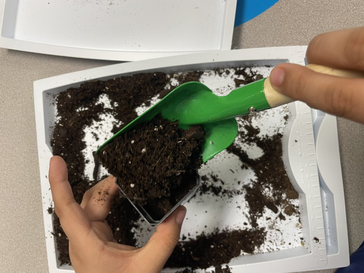MsSuzet's tweet photo. In honor of Earth Day we have been learning about planet Earth. Our students took part in a planting project and discussed the textures of seeds and soil. The students will observe how a seed's root grows as well as how it will interact with soil. @WNYPS4 https://t.co/aTW9qfw2k9