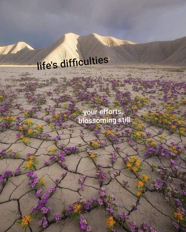 WholesomeMeme's tweet photo. https://t.co/KZKaTbjOSp