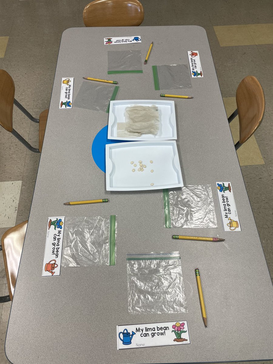 MsSuzet's tweet photo. In honor of Earth Day we have been learning about planet Earth. Our students took part in a planting project and discussed the textures of seeds and soil. The students will observe how a seed's root grows as well as how it will interact with soil. @WNYPS4 https://t.co/TEs30zgDZa