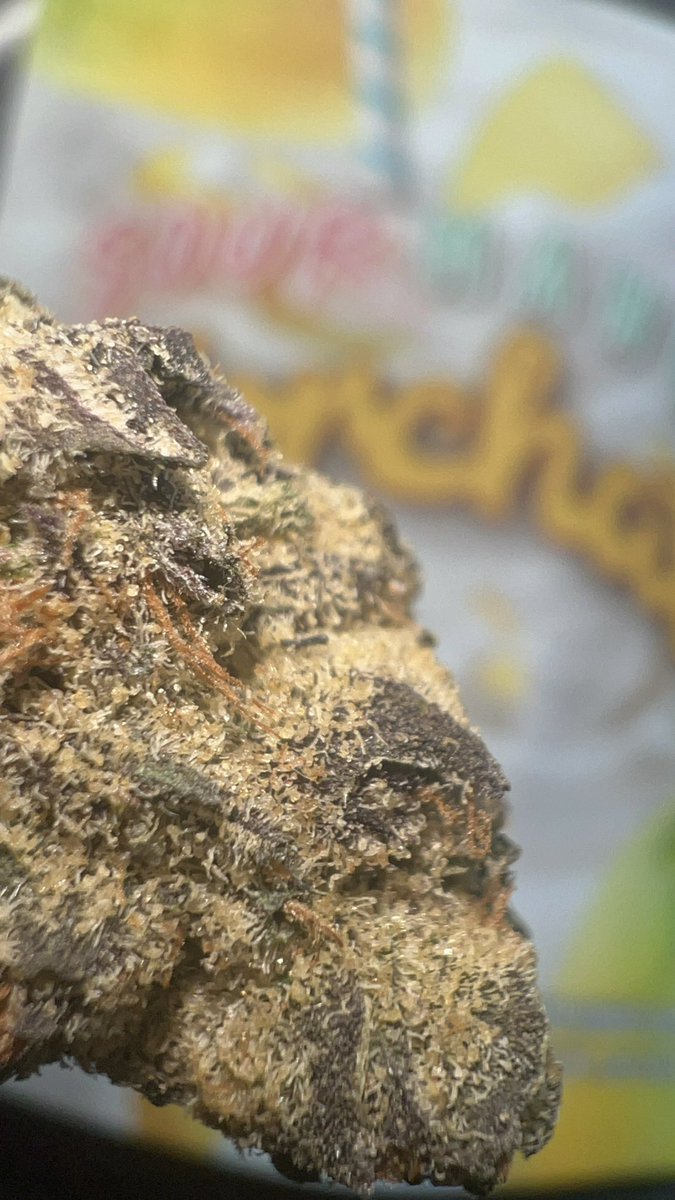 TheUsualSuspecs's tweet photo. Sour Mango Horchata @Tedsbudzco_ up close personal ๐ง #SmokeWithTUS https://t.co/DNiZu8LqAn