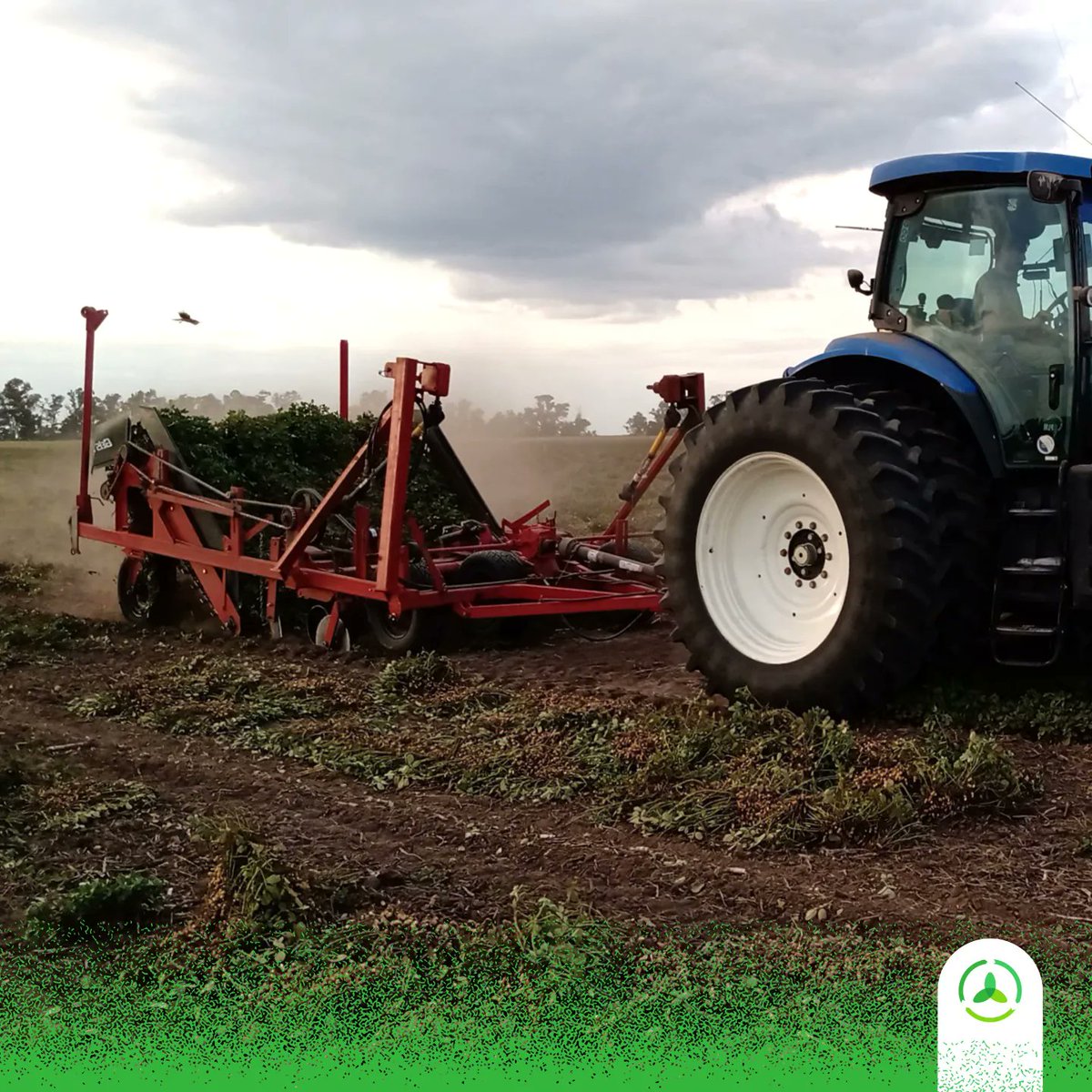 AgroconsultorSA's tweet photo. 🔜 🚜 🥜 La siguiente parada del arrancado será en Villa Valeria (Córdoba) y Christophersen (Santa Fe).

¡Les iremos contando los avances!

#AgriculturaConTodo @adecoagro_ #EnsayosAC https://t.co/hQSRhKIzVG