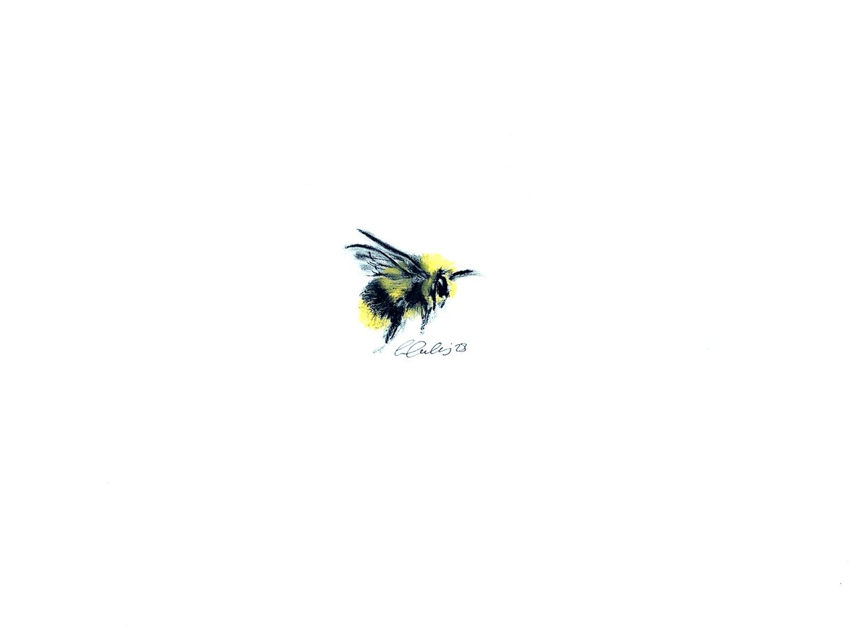 Gem Oatley (wildlife artist) tweet media