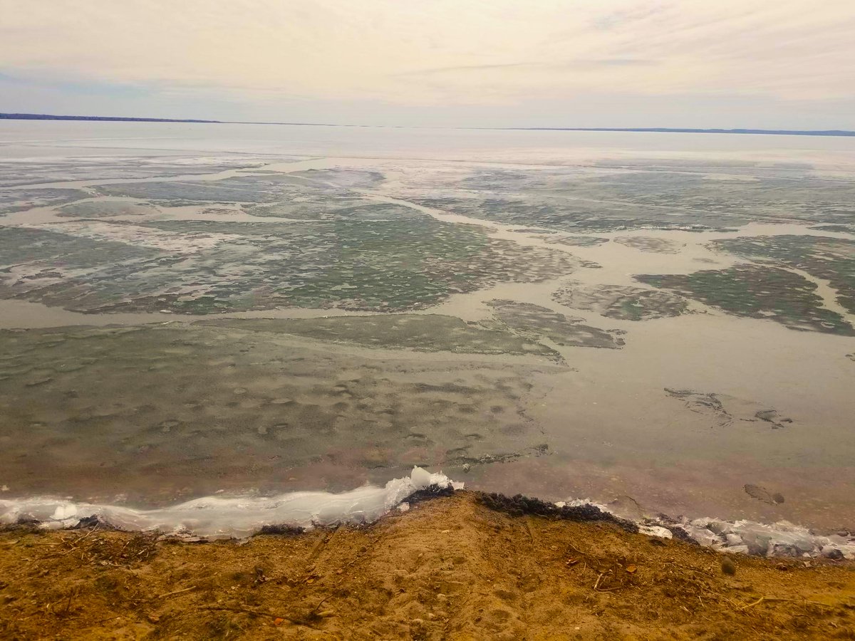 iheartedmonton's tweet photo. Beautiful Pigeon Lake, Alberta! #Alberta #AlbertaBucketList https://t.co/jHiISCj1sq