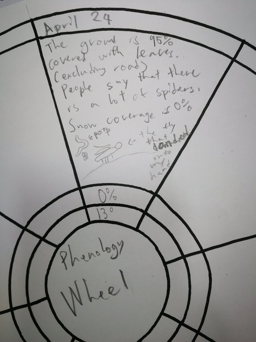 Ms. Evans DRBS Gr.6 tweet media