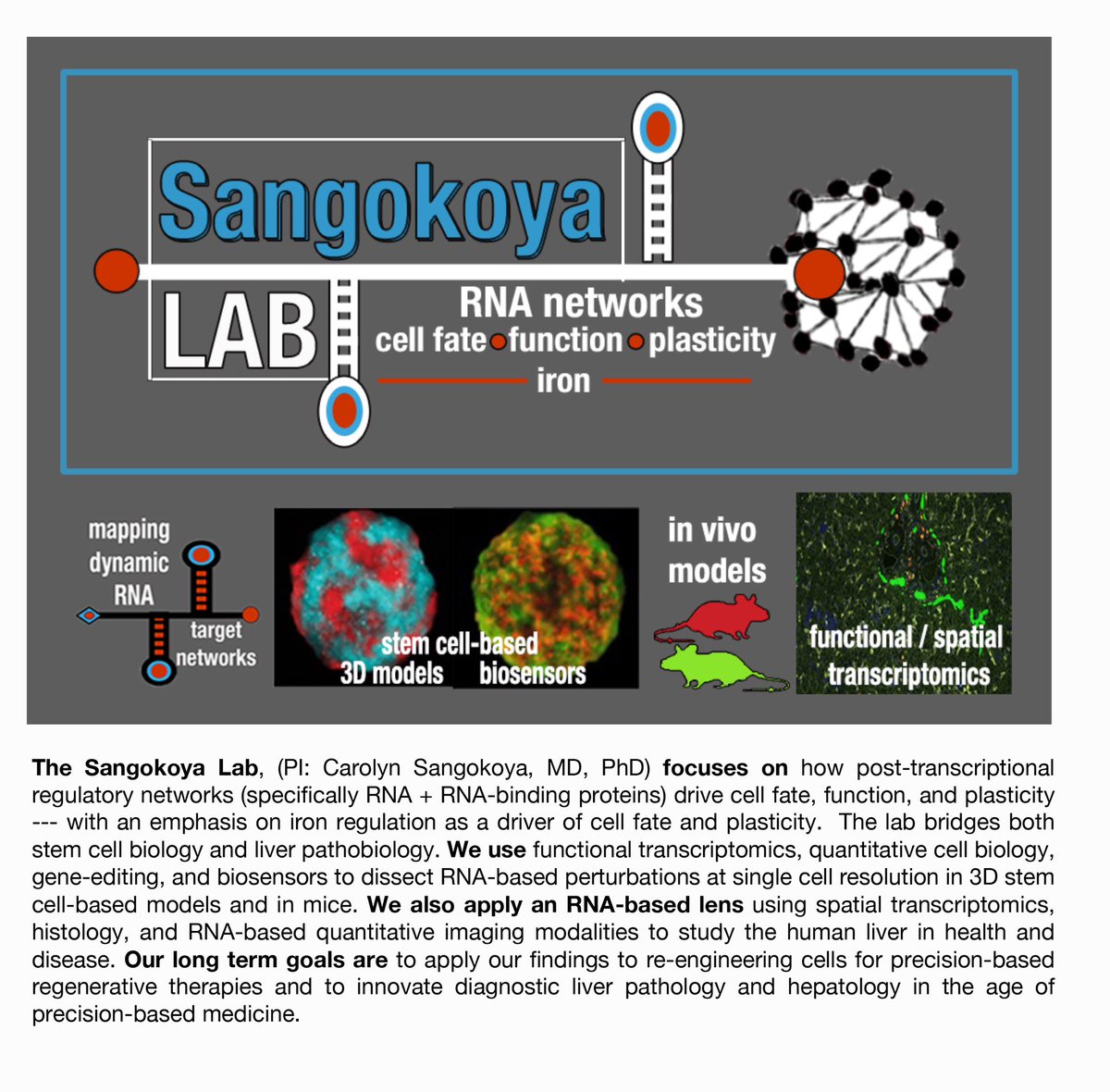RNAHɛʟɨӼ🩺🔬 (@rnahelix) on Twitter photo Happy to share with all of you that I will start my position as a tenure-track Assistant Professor <a href="/UCSF/">UC San Francisco</a> <a href="/UCSFPath/">UCSF Pathology</a> <a href="/UCSFMedicine/">UCSF School of Medicine</a> —-with my lab in <a href="/UCSFstemcell/">UCSF Broad Stem Cell</a> — in September 2023 🎉 and hiring: bit.ly/3V92222 🎉 Happy to share with all of you that I will start my position as a tenure-track Assistant Professor <a href="/UCSF/">UC San Francisco</a> <a href="/UCSFPath/">UCSF Pathology</a> <a href="/UCSFMedicine/">UCSF School of Medicine</a> —-with my lab in <a href="/UCSFstemcell/">UCSF Broad Stem Cell</a> — in September 2023 🎉 and hiring: bit.ly/3V92222 🎉