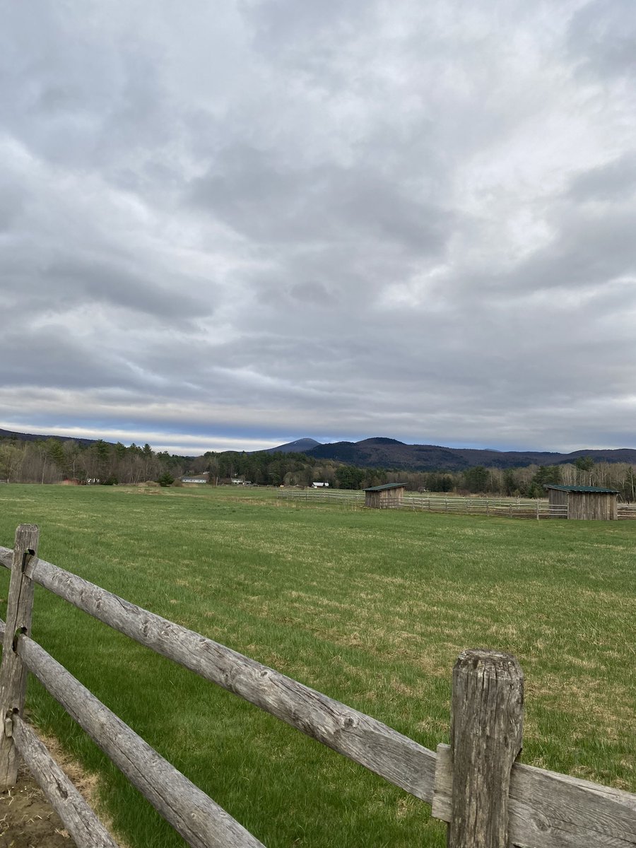 SheriSpain's tweet image. #SpringtimeInVermont