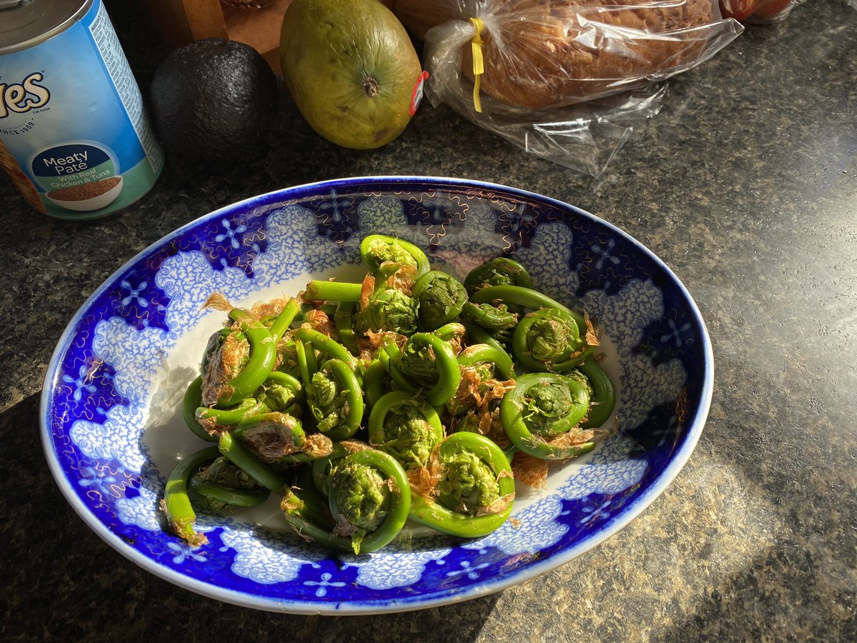 SheriSpain's tweet image. #SpringtimeInVermont