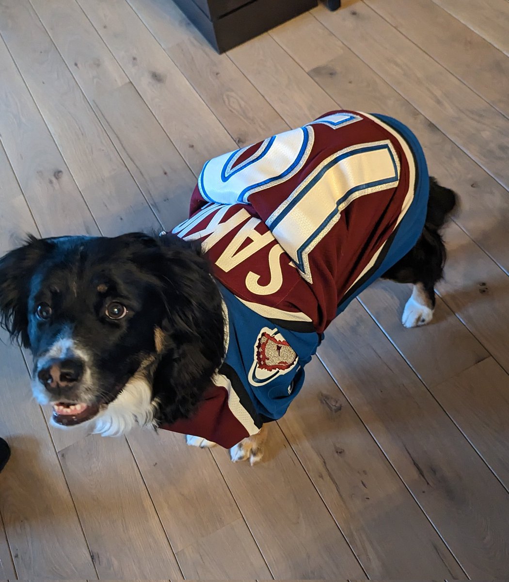 Tonight's lucky @Avalanche charm.  #GoAvsGo #OneWayOurWay