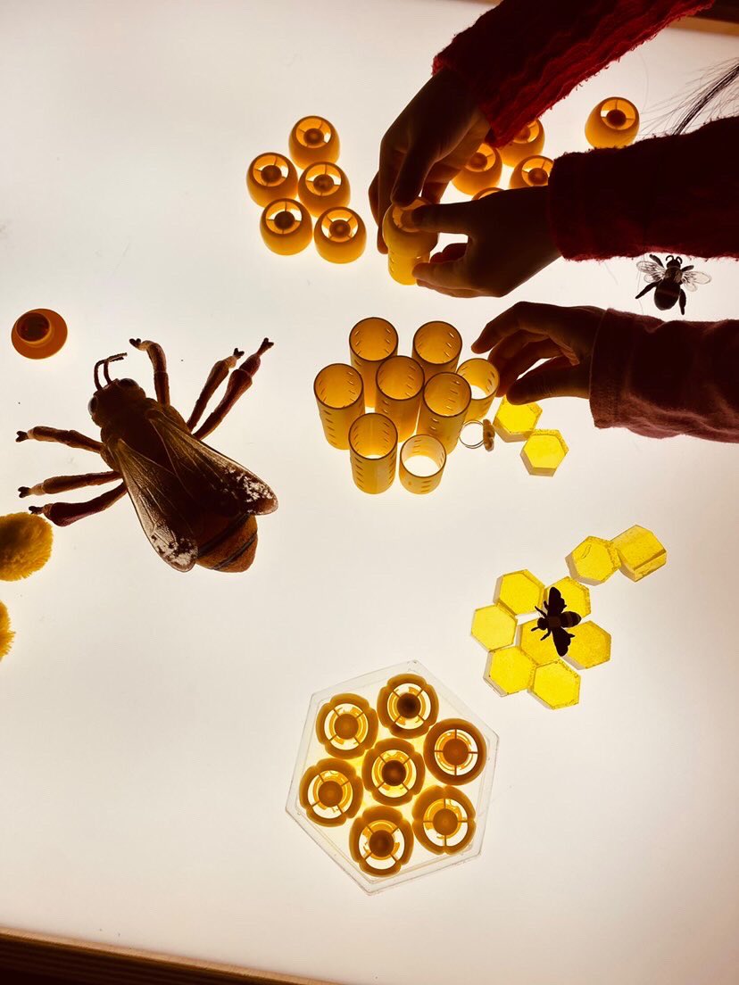 InspirationsinK's tweet image. The life of a honey bee on the Light Table 🐝