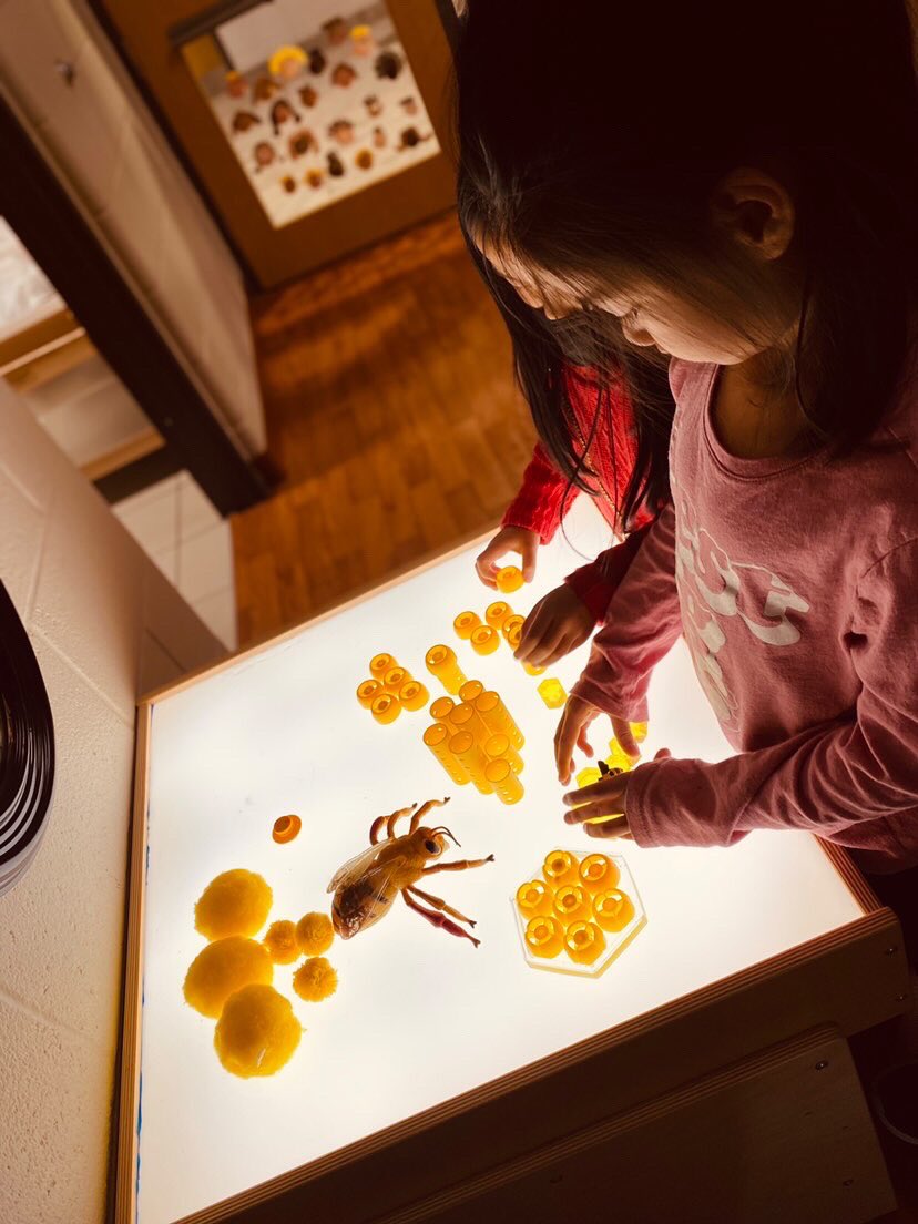 InspirationsinK's tweet image. The life of a honey bee on the Light Table 🐝