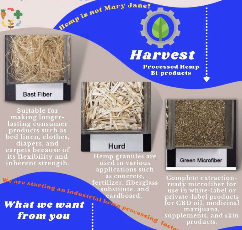 thehempguyz's tweet photo. Although we do grow some dank flowers🌹

Industrial Hemp is our aim. We’re committed to developing an eco-friendly industrial hemp processing facility in Houston, Texas🏡

Hemp is Renewable Energy
🪴Click The Link in Bio🪴
#RenewableEnergy #cannabisindustry #Mmemberville https://t.co/0Md13K7X89