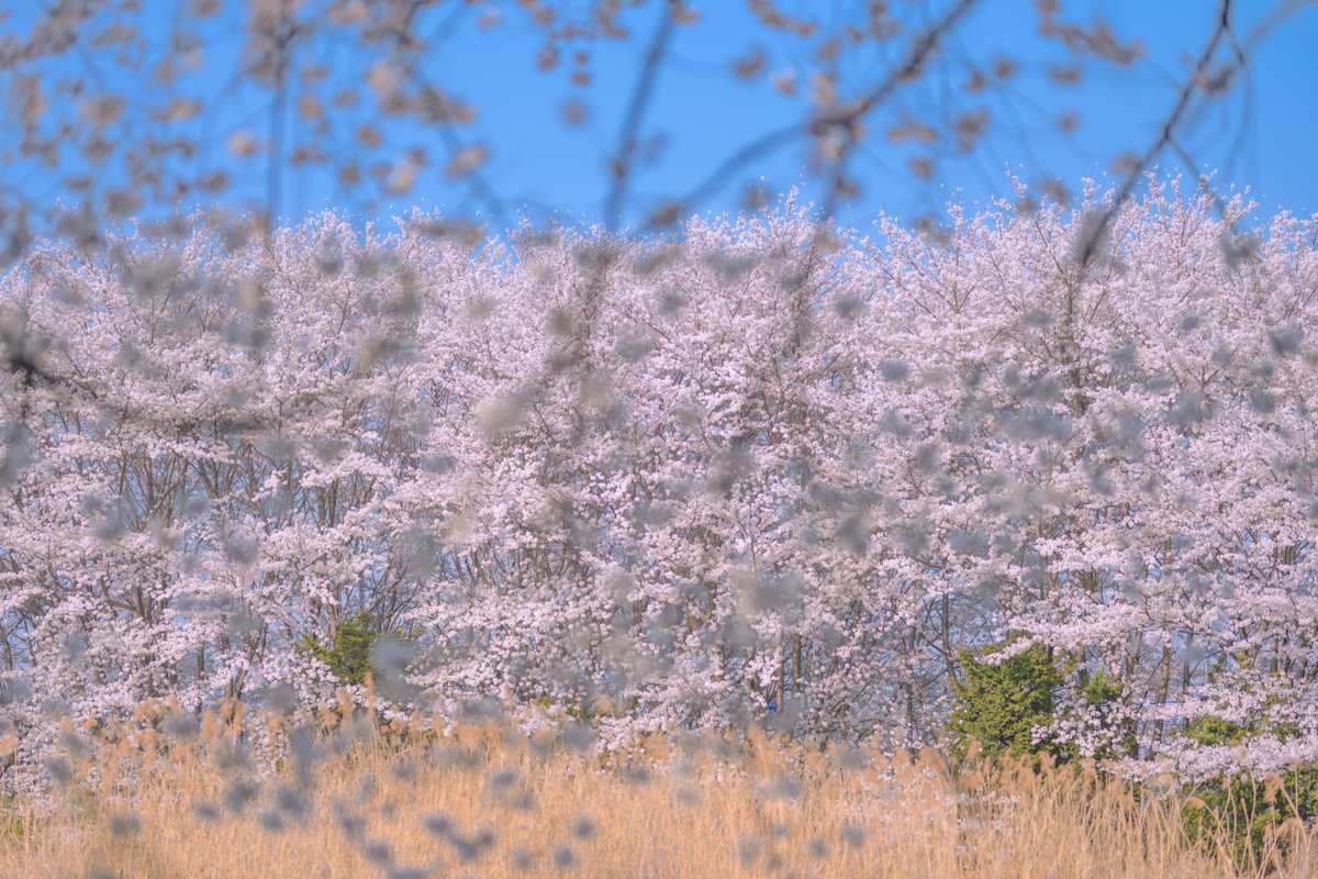 2Days.eth tweet media