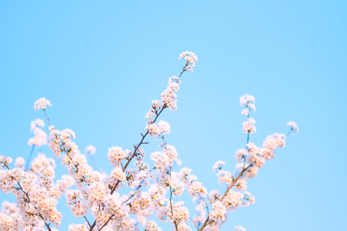 2Days.eth tweet media