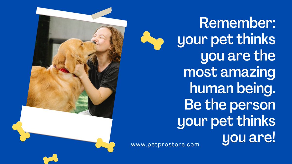 PetProStore1's tweet photo. https://t.co/2mku0YMGmA
#BirdSupplies #dog #dogs #pet #pets #cat #cats #dogstore #catstore #petstore #dogtips #cattips #pettips #doglover #petlover #catlover #puppy https://t.co/NnfZUKvb9p