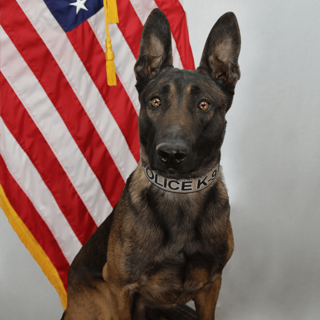 OnPatrolK9 tweet picture