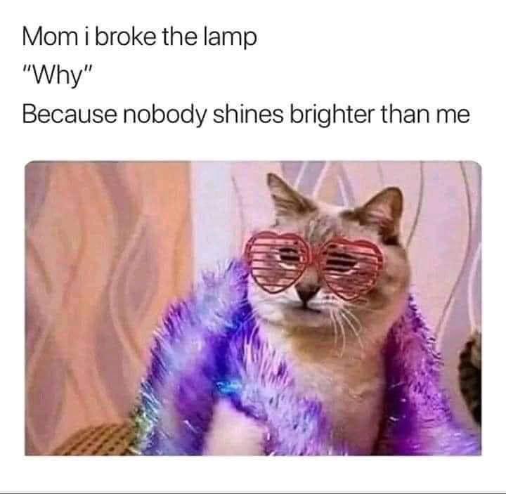 WholesomeMeme's tweet photo. https://t.co/MyMcIXNCbj