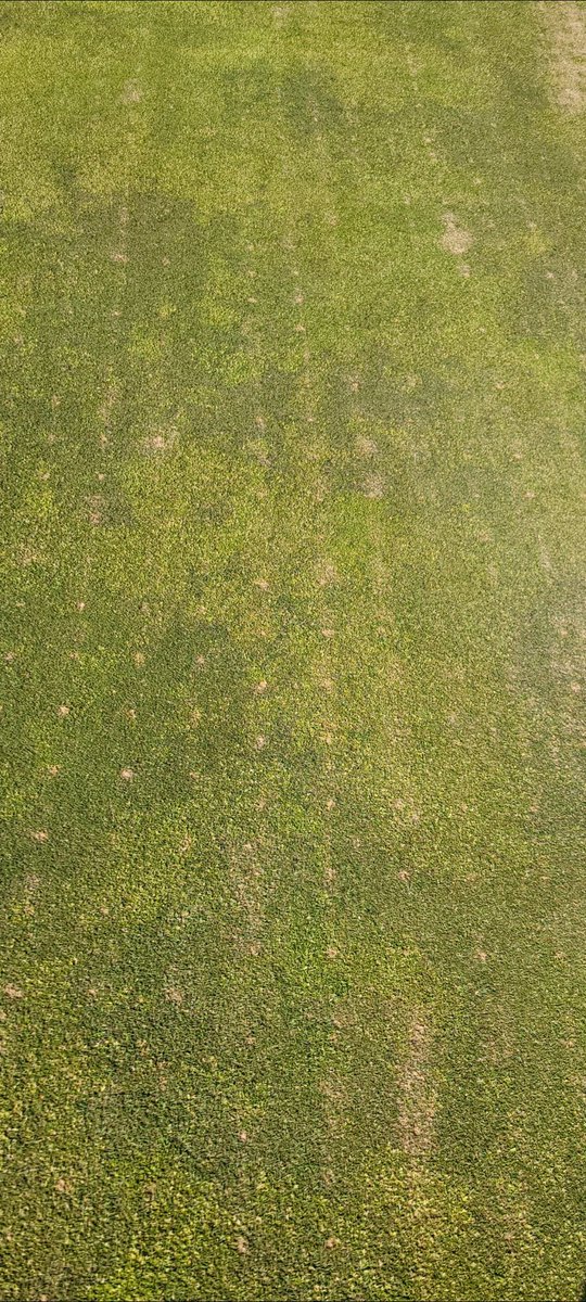 Scott Countryman tweet media