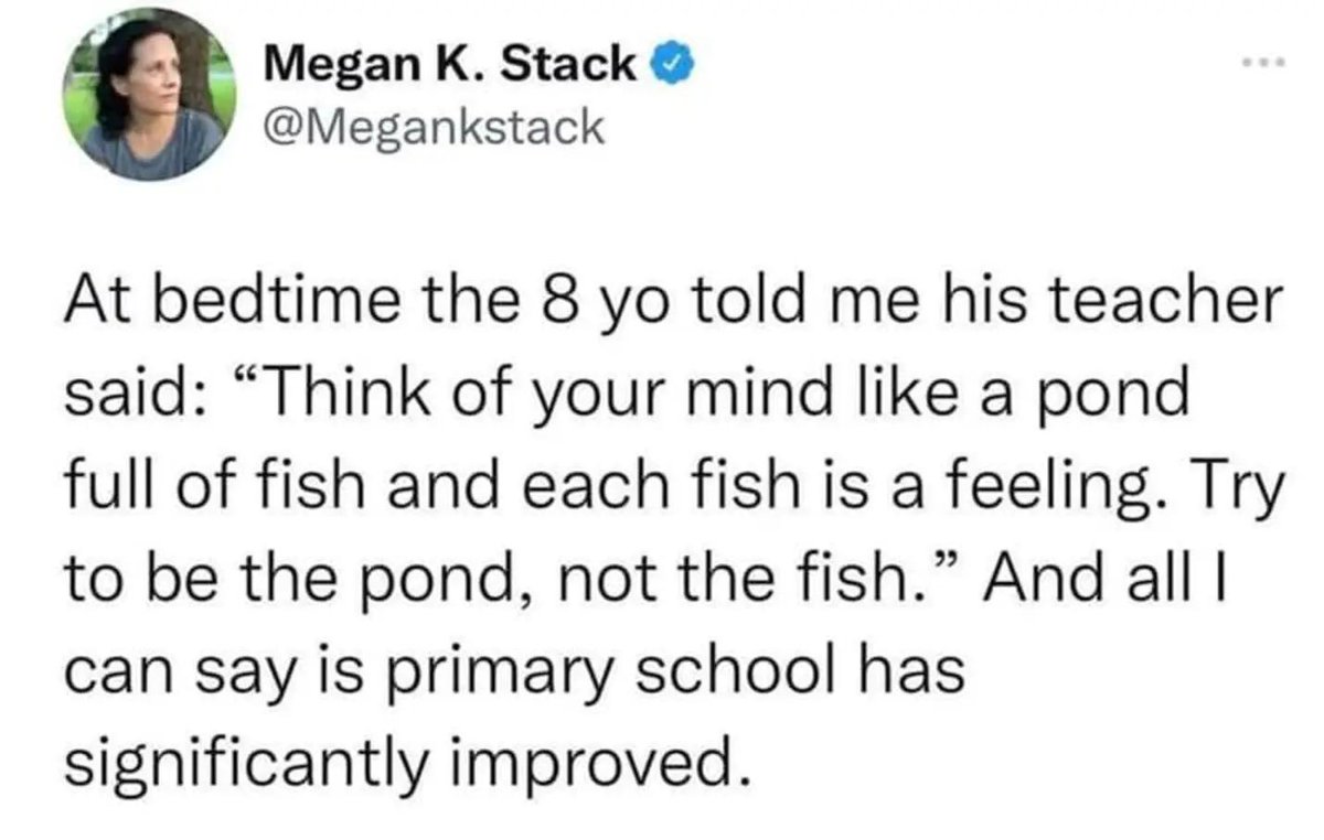 WholesomeMeme's tweet photo. Original tweet by Megan Stack @Megankstack https://t.co/jDHd9yOzaa