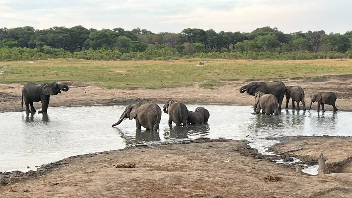 Susan Nelson tweet media