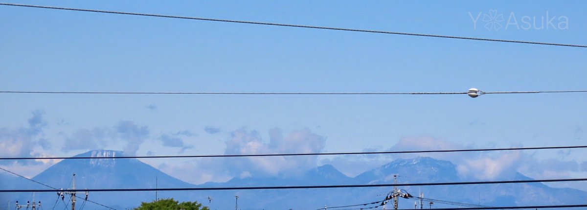 yumeasutw's tweet photo. #青空 にお日様燦々✨久しぶりに #日光連山 が望める木曜日の朝☀️
天高く旋回する仲良し #トビ を #カラス が追いかけ嫌がらせ🦅💦
予想最高/最低気温🌡️22℃/9℃
晴れ☀️
お洗濯日和👕👖日中は爽やかな陽気となりそうです。
#空の名前
#雲の超図鑑
#野鳥 #bird #モビング
#a2023 #a0427 #a202304 https://t.co/ikqUmgLKXB