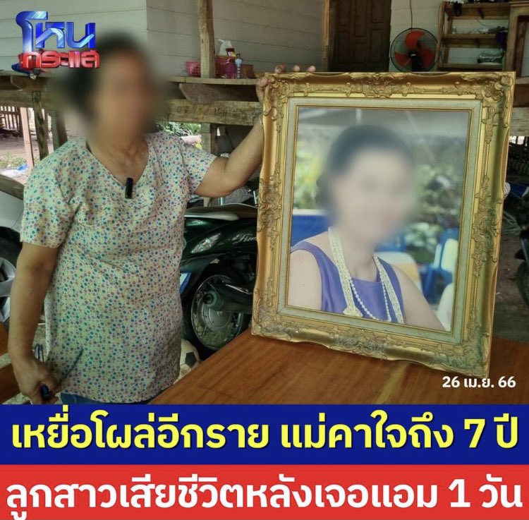 ใบตอง tweet media