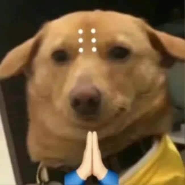 solasidows's tweet photo. Hi, I’m Sol! looking 4 interactive moots!, let’s be #moots ‼️💗  help rt/like tysm muah muah https://t.co/hleD005VRX