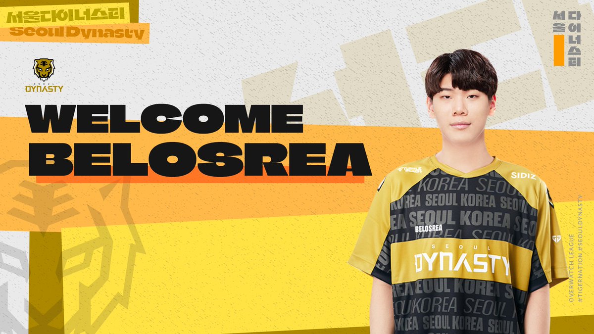 SeoulDynasty's tweet photo. [ Welcome, @OW_Belosrea ]

#TigerNation #SeoulDynasty https://t.co/6EQjs6fUtN