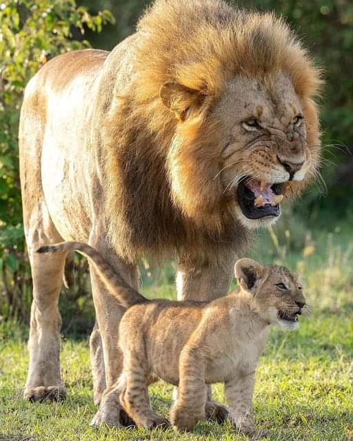 lelez12's tweet photo. "It's not all about you, it's all about who is standing behind you - God Almighty!" https://t.co/Ypap60VMaO