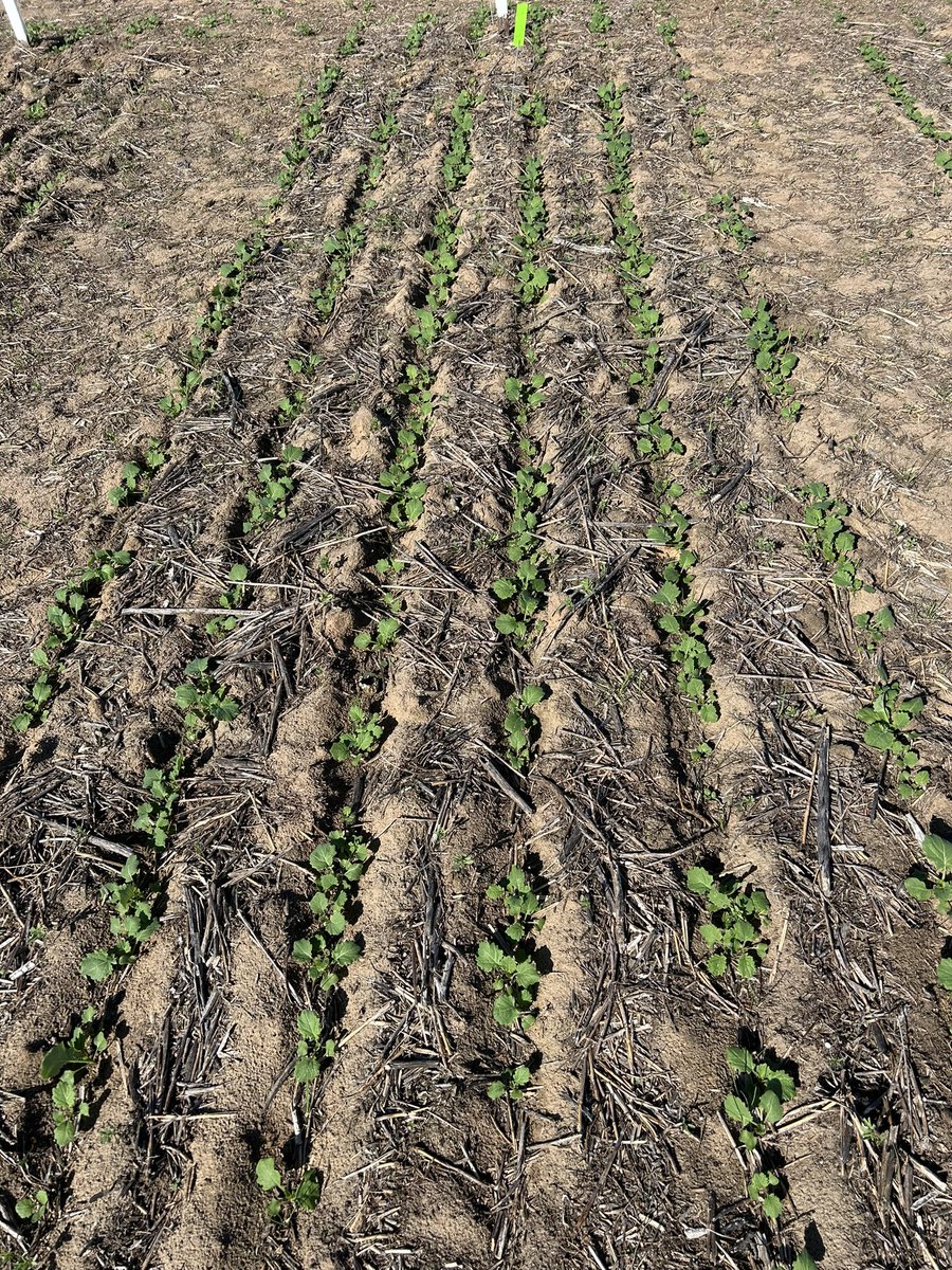 Kenton Porker tweet media