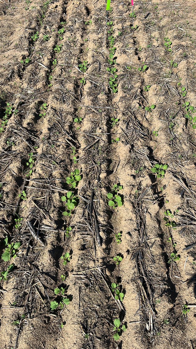 Kenton Porker tweet media