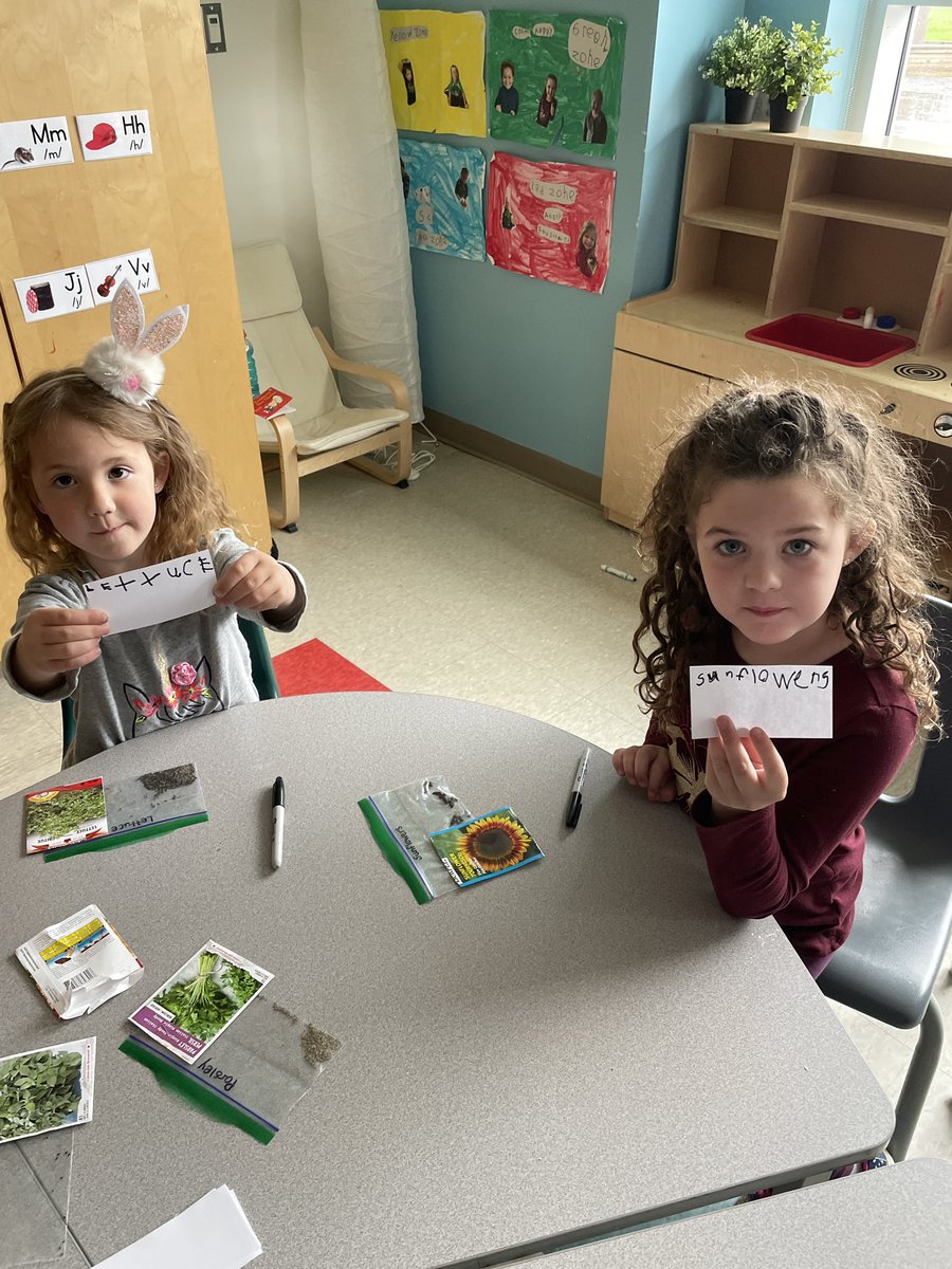 MrsBeg24's tweet photo. The Otters started investigating and planting our seeds today. We are looking forward to seeing what happens next! @mrs_scottocsb @StPhilipOCSB #ocsbEarth #ocsbEco #ocsbKindergarten https://t.co/z1lc9LZQix