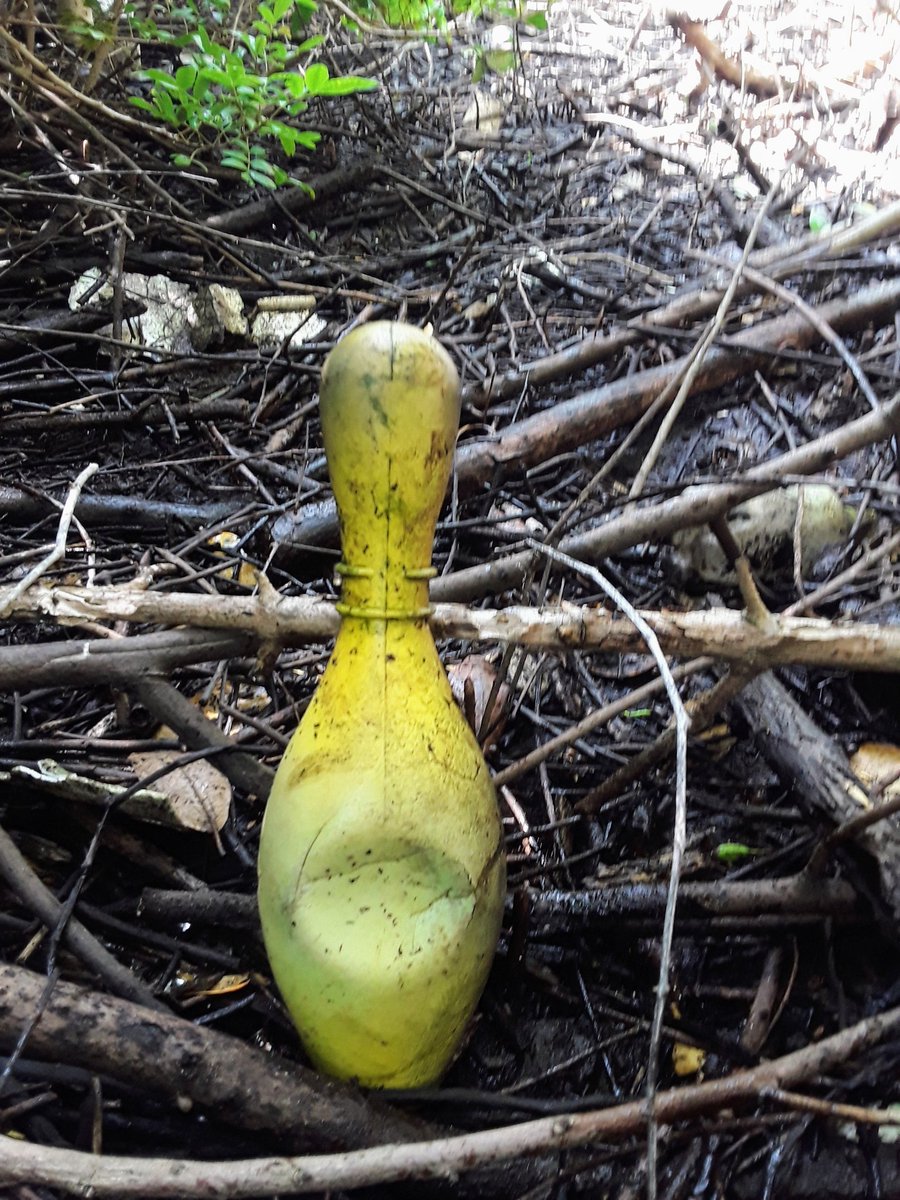 TJRPitt's tweet image. Two #strangestfinds @CornishSpliced at the creek today...
📸1- Something driving a Cheeseburger on wheels🤷‍♂️
📸2- A toy bowling pin🎳