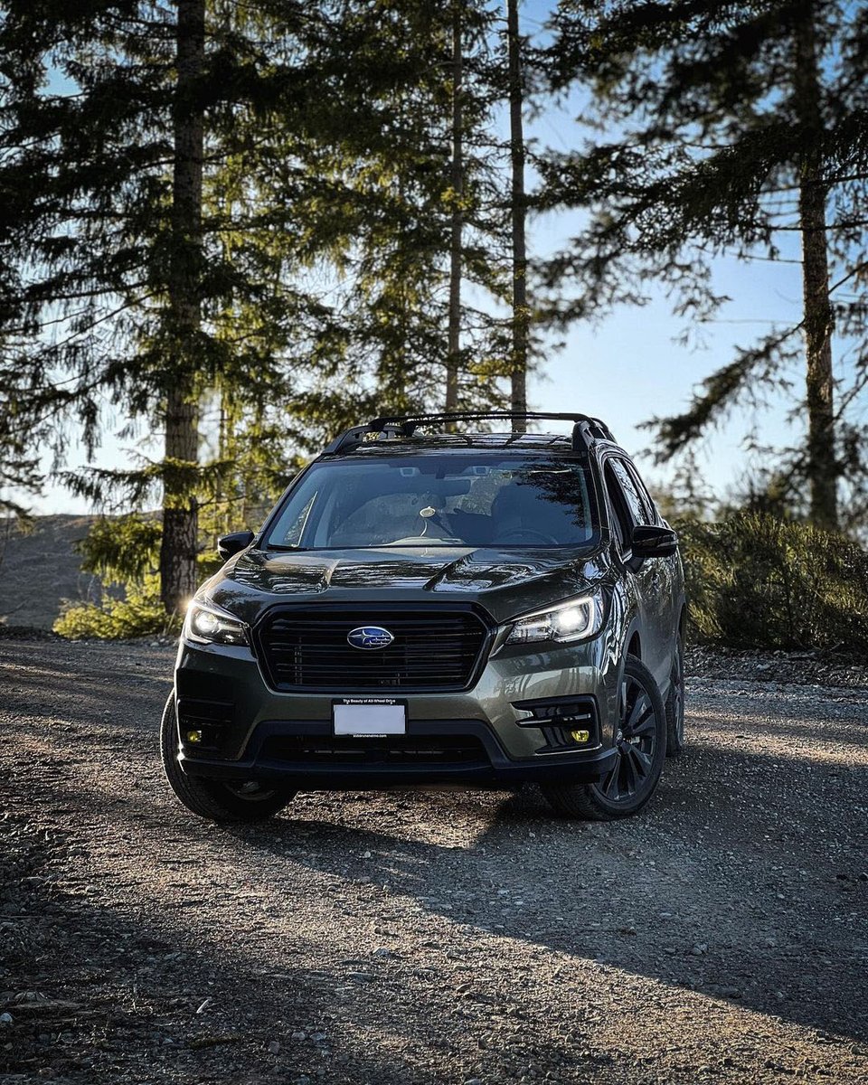 SubaruCanada's tweet photo. Soaking up the sun on Vancouver Island. ☀️ #SubaruAscent (📷: endor_onyx) https://t.co/yBntqXAy1S