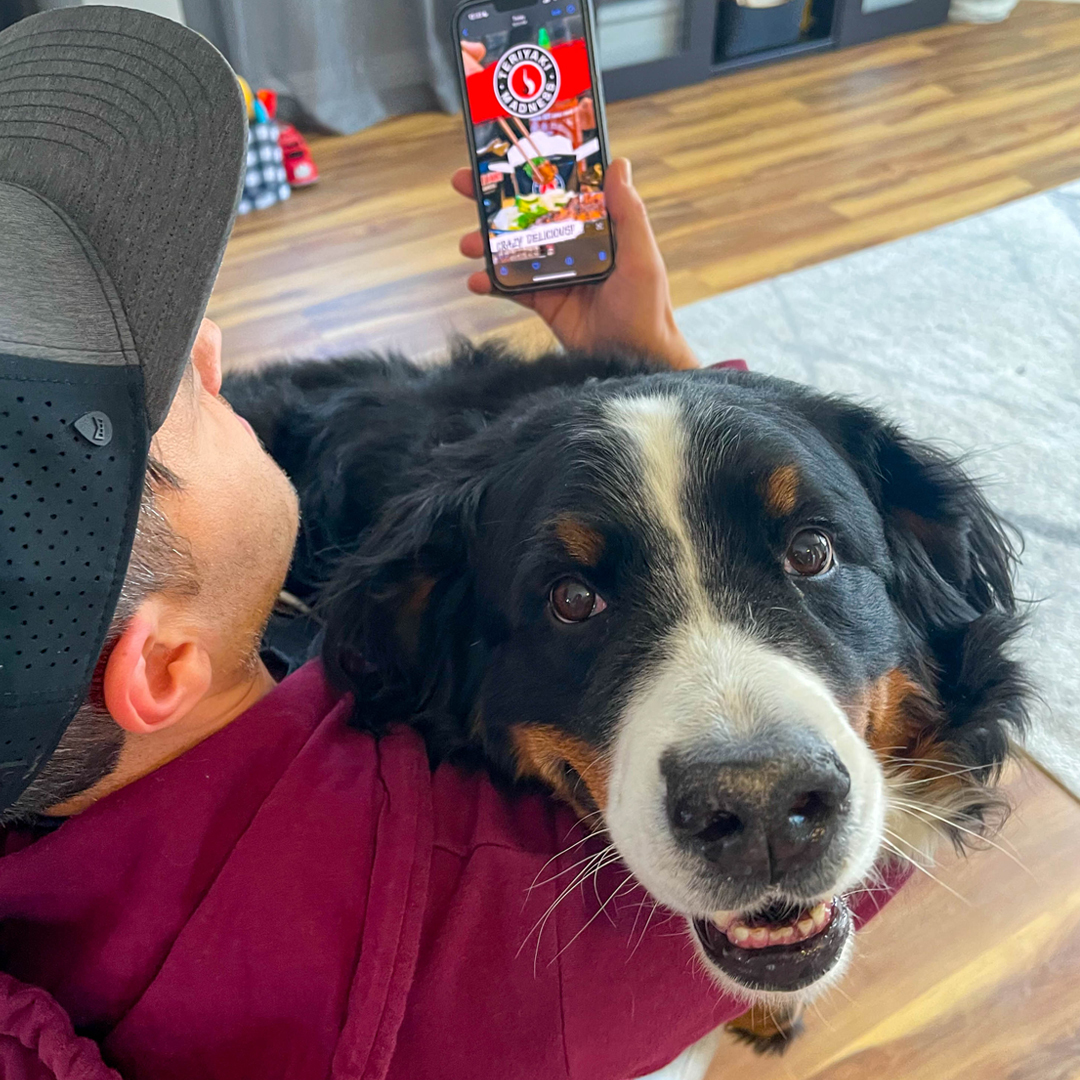 This is why God created apps to order food without disturbing your pup. Also, remember that god is just dog spelled backwards. 🤯 #delivery #dogs #pets #puppies #funny #food #teriyakimadness #orderonline #tmadsocial