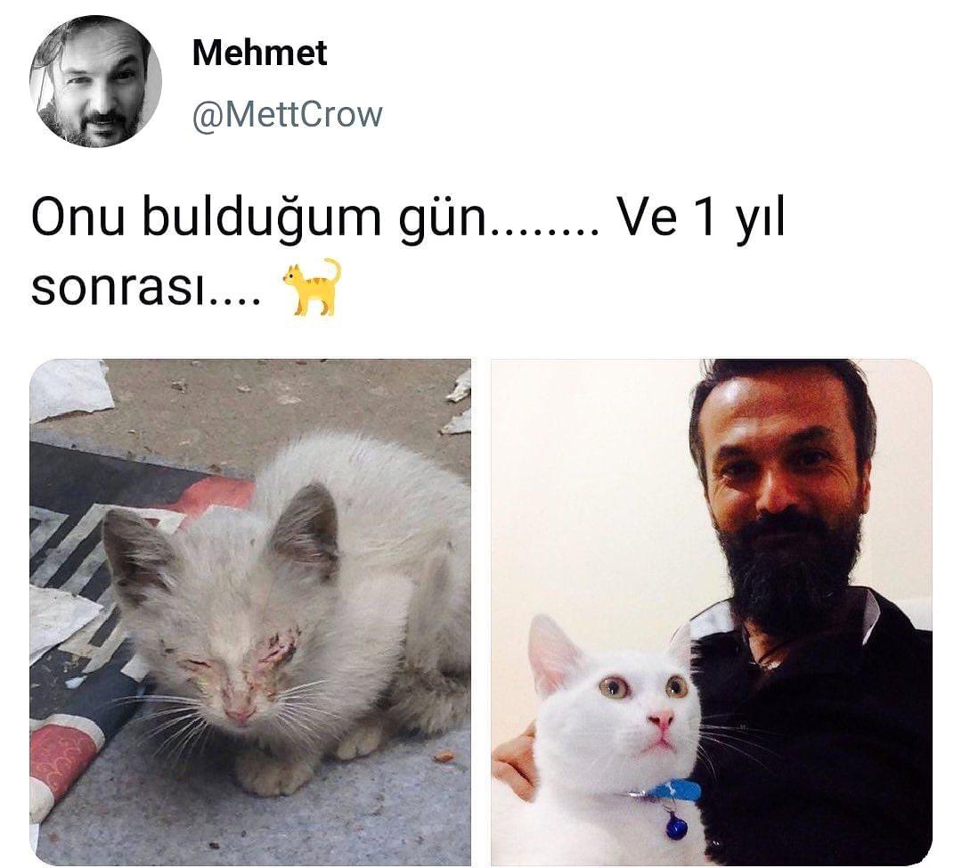 Haykodep (@haykodep) on Twitter photo 