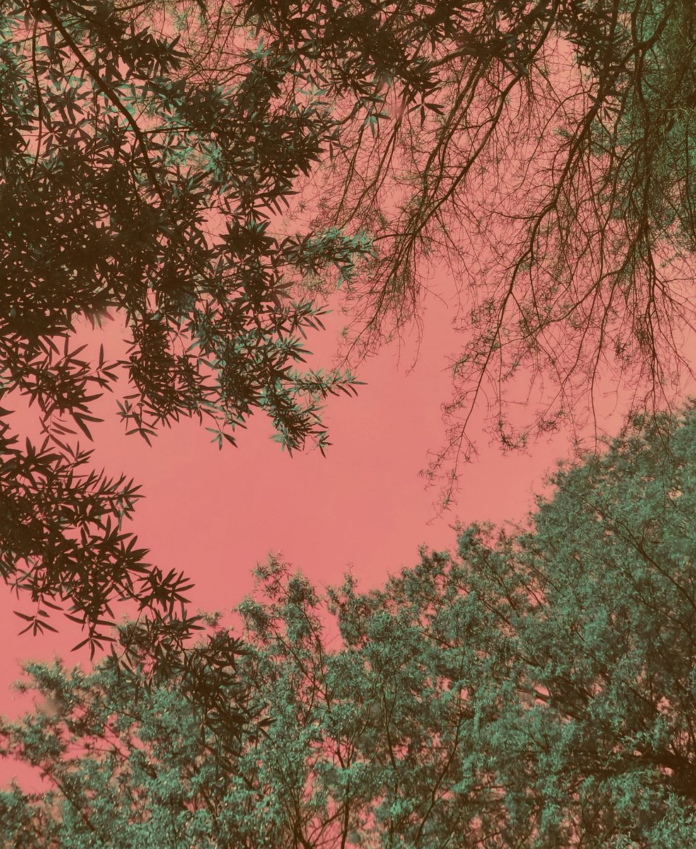 Jeffrey Scott Holland tweet media