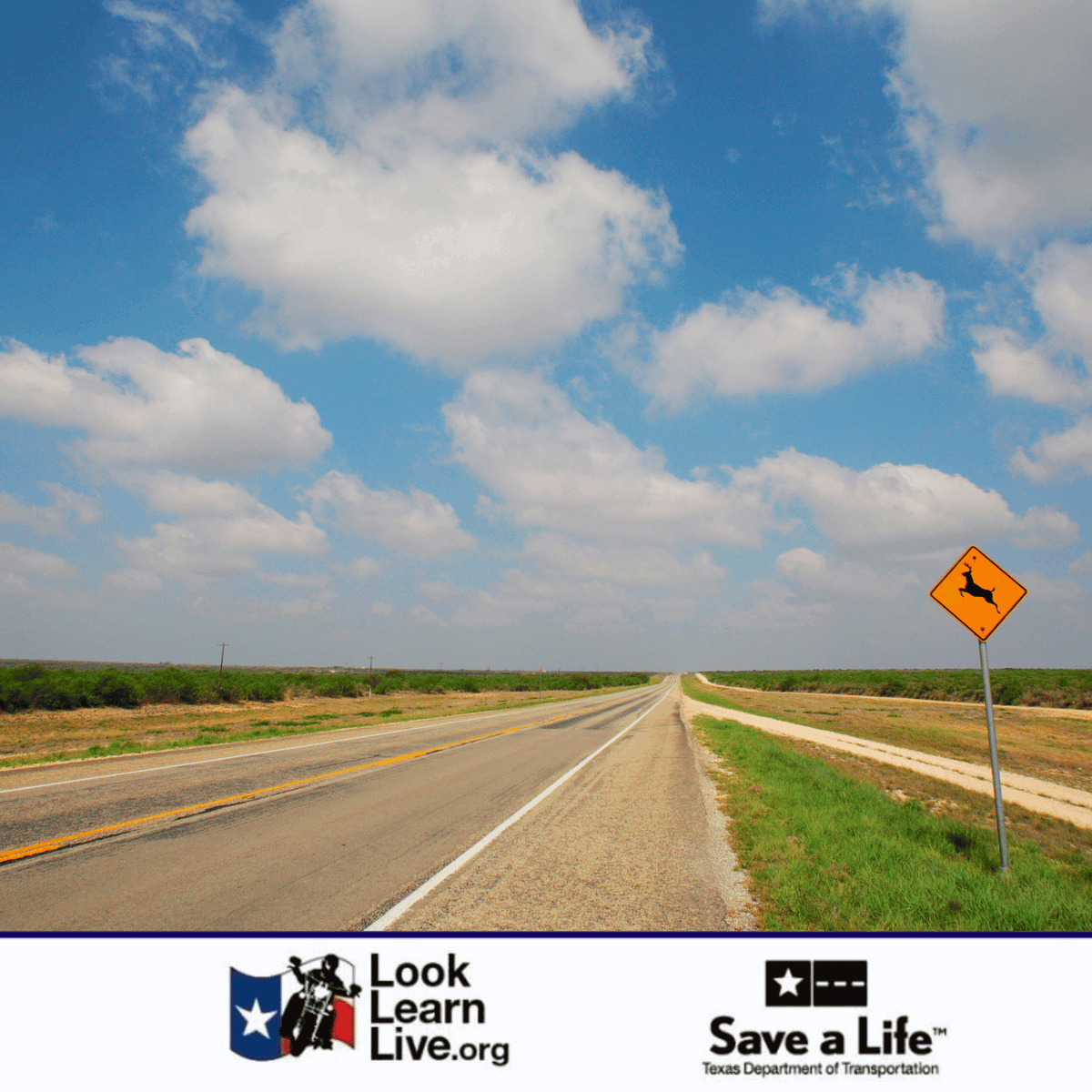LookLearnLive's tweet photo. Looking for the best motorcycle routes around the Lone Star State? Visit the routes tab on our website to see all the amazing roads you can explore. Get ready to hit the open road and create new memories! #TexasRides #LoneStarAdventure #MotorcycleLife https://t.co/XN7eT2GYaj