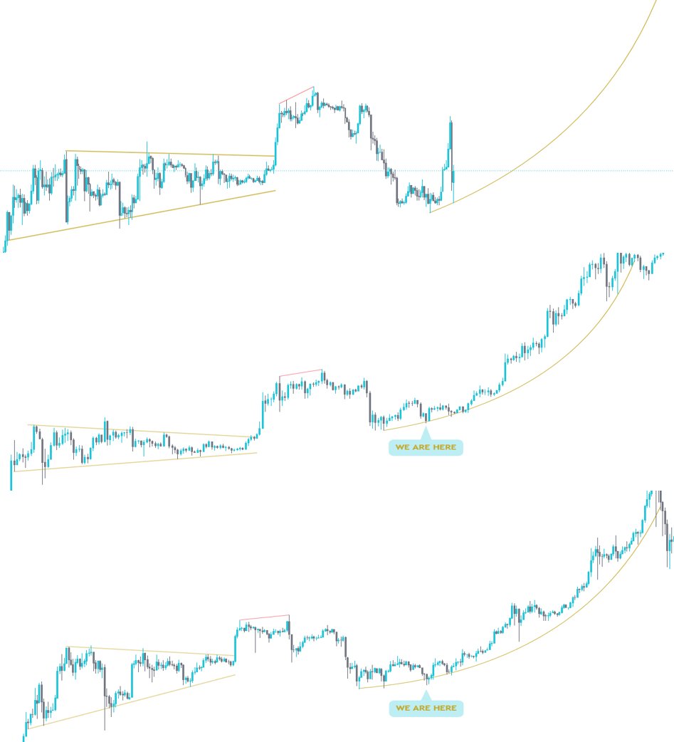 NestayIO's tweet image. Let&apos;s go parabollic.