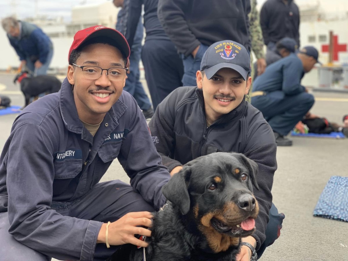 U.S. Fleet Forces on Twitter "🐾 ️ MuttswaMission Service Dogs were