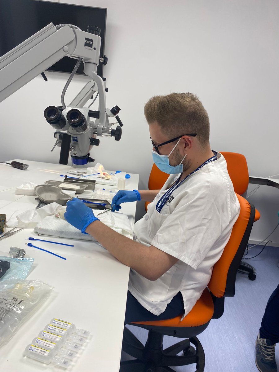 orlhryc's tweet photo. Hoy ha tenido lugar la segunda jornada del "I Curso de Microcirugía Vasculo-Nerviosa para ORL" https://t.co/hPqq3pDhE4