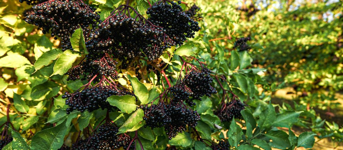 Post by PrNews24_com