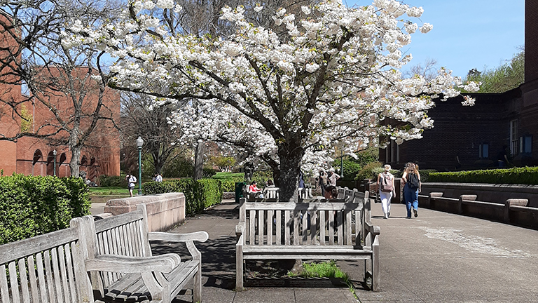 uolibraries's tweet photo. ๐The view today from the Knight Library patio! ๐ธ Not sure what happened to spring, but apparently summer is here! Our future's so bright!!! ๐ #UOLibraries https://t.co/QQLdXTX0vu