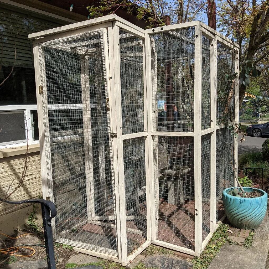 elgintime's tweet photo. That time again, the aviary is assembled https://t.co/D8FKmMTkWm https://t.co/25dLsK4it0