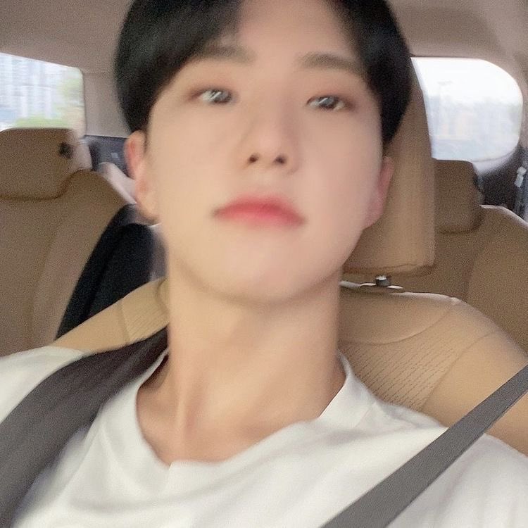scoupblog's tweet photo. missing hoshi ⭐️ 🤍 🐯 https://t.co/gn07SEqCjk