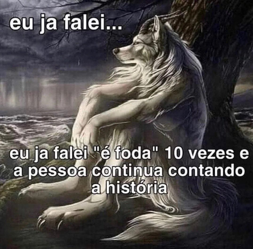 shitpostverdade's tweet photo. https://t.co/tPYLwkYBpy