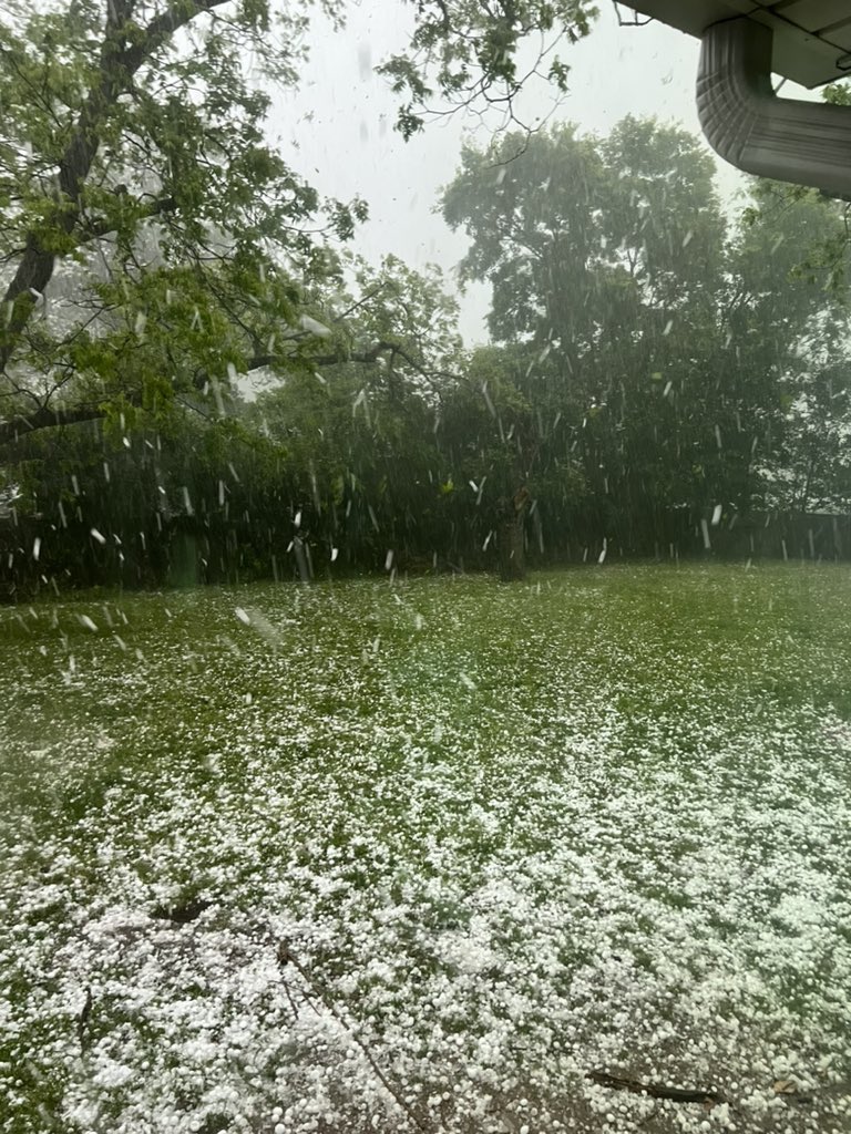 CourtTheStern's tweet photo. Hail in Henderson, Texas just now. There are definitely some baseball sized pieces we can’t get to safely. #txwx https://t.co/PhbNO1YmwB