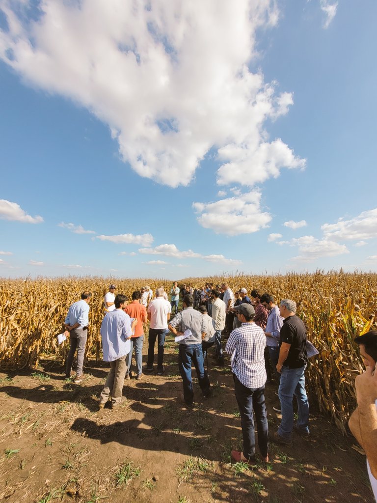 JonatanMauro1's tweet photo. Recorrida @CREASudOeste, actualidad de híbridos de #maiz🌱#densidaes, herramientas de #manejo junto @INTABalcarce
De la mano de el Dr. Dionisio Martinez
🛑 @Syngenta_ar presente junto al productor !!
#Acuronpack #Borjapack https://t.co/KMnb2coRu5